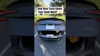 How Does Hands Free Trunk Work on My Tesla 🤔😳 [upl. by Lefton]