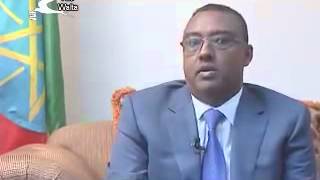 Interview with HE Demeke Mekonnen on current issues  Walta [upl. by Nnylyram]