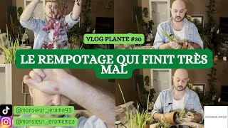 VLOG PLANTE N°30  Ca finit très mal [upl. by Iramat]