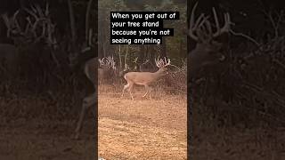 It’s like that sometimes 🤦‍♂️ viralvideo shorts short funny hunting shortsvideo fyp [upl. by Mikah]