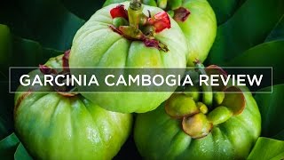 Garcinia Cambogia Weight Loss amp Side Effects  Review [upl. by Yorel615]