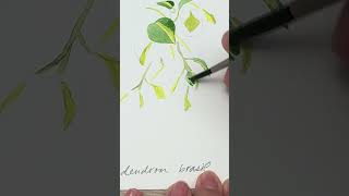 How I painted the begonia houseplant for my 2025calendar [upl. by Yrkcaz]