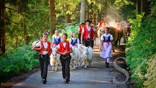 Vo de Laui id Selamatt Ã–berefahre im Toggenburg [upl. by Ahsitam]