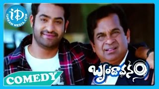 Brindavanam Movie Back2Back Comedy Scenes  Jr NTR  Samanatha  Kajal [upl. by Gaughan]