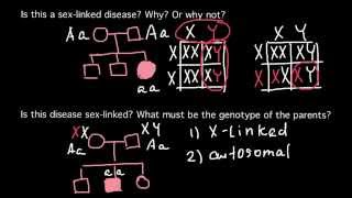 How to solve a Pedigree problems [upl. by Deppy]