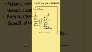 Classification of Wounds  Wounds Classification  Types of Wounds  Acute and Chronic Wounds [upl. by Sunda589]