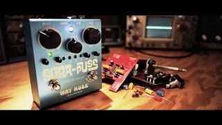 Way Huge SupaPuss Analog Delay [upl. by Eillom]