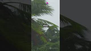 Breaking News Tropical Cyclone Enteng Hits Philippines shorts news emergencypreparedness [upl. by Caye192]