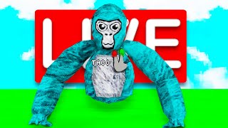 🔴 GORILLA TAG LIVE STREAM🔴 MINIGAMES amp CODES [upl. by Alver977]