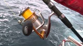 Giant southern bluefin tuna nearly spools Stella [upl. by Tj]