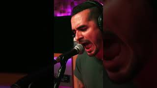 Cuffed Up  Audiotree Live Single  Danger Danger  out now [upl. by Benn]