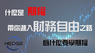 對沖王道｜第一集｜期權基礎知識懶人包｜什麼是期權｜為什麼要學期權｜期權基礎教學影片｜期權投資新手即刻入嚟睇 [upl. by Eniron]