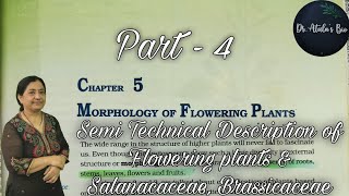 Morphology of flowering plants  Part 4  Class 11 Biology  NCERT NEET [upl. by Petua267]