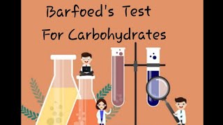 Barfoeds Test for Carbohydrates Biochemistry practicals for 1st year MBBS [upl. by Lindsy]