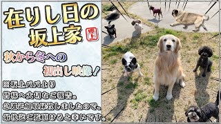 【みんな集合！秋から冬へ初出し映像！】※急遽動画の最後に坂上パパから皆様へ大切なご報告を追加しております。 [upl. by Witte]