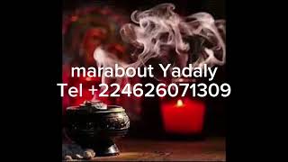 voyant marabout africain Yadaly Tel 224626071309 h [upl. by Alverson550]