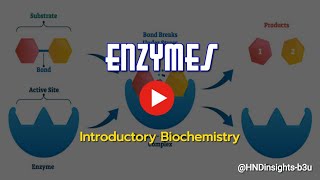 EnzymesTypes of enzymesBenefits of enzymessupplements [upl. by Baese]