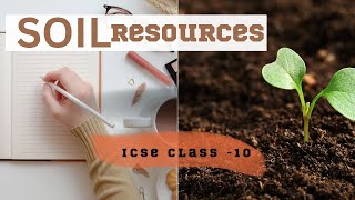 Soil Erosion  Types and Causes  Video for Kids [upl. by Enelegna]