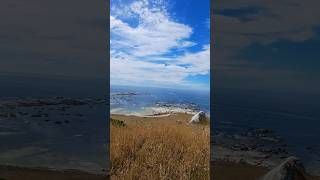 Kaikoura Peninsula Walkway Whalers Bay New Zealand [upl. by Nerral]