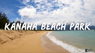 Kanaha Beach Park is a must visit beach in Maui Hawaii [upl. by Rosie]