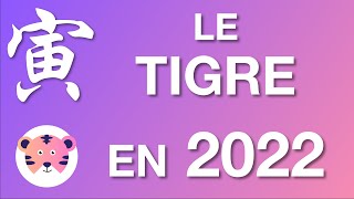 Le Tigre 寅 en 2022  Prévisions astrologiques [upl. by Latoyia731]