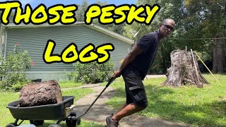 Pesky Logs Episode 116 [upl. by Ynej]