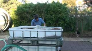 Building an ibc aquaponic system [upl. by Sane]