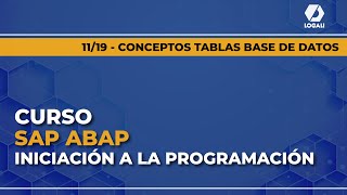 1119 Curso SAP ABAP Iniciación a la programación  Conceptos tablas base de datos [upl. by Betsy601]