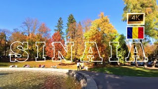 Beautiful Autumn In Sinaia Romania 🇹🇩  Dimitrie Ghica Park sinaia autumninsinai POVBarengHasan [upl. by Riem]