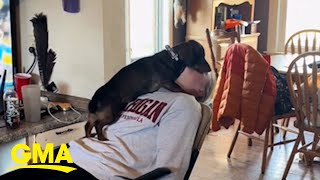 Family dog gives college student special welcome home [upl. by Jo]