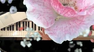 “A Thousand Years“ piano Version amp Video by Elvira Plenar [upl. by Curcio]