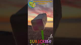 A majestic sunrise 🌅 with David Battenberg cake funny [upl. by Merill]