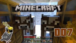 Minecraft 🧱 007 ◊ Stürmt den Stall  Lets Play deutsch [upl. by Allimac364]