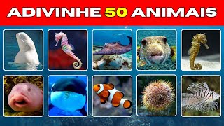 ADIVINHE 50 ANIMAIS MARINHHOS🌊🐠  QUIZ  ANIMAIS MARINHOS [upl. by Sigfrid275]