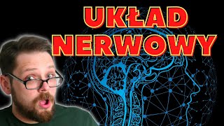 Budowa i rola układu nerwowego cz1 Podział układu ośrodkowy obwodowy autonomiczny i somatyczny [upl. by Clerissa217]