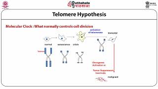 M31 Basics of mammalian cell culture techniques [upl. by Jauch]