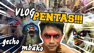 GECHO vs MBAKO SINGO KUMBANG DUWEL SOLAH TAWURAN PARAH DIVLOG PENTAS KALI INI [upl. by Arlo]