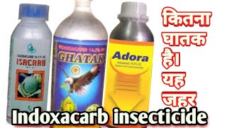 IndoxacarbInsecticideक्या ये अधिक घातक है farmingwithsanyog indoxacarbinsecticide pesticide [upl. by Jamison15]