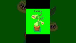 Potbelly mysingingmonsters msm [upl. by Gnurt640]