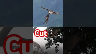 Cut 🦅 eagle eagles wildlife birds youtube [upl. by Yenittirb383]