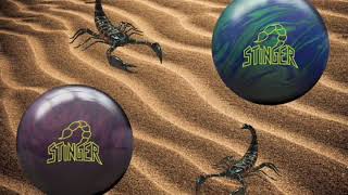 Ebonite Stinger Informational Video [upl. by Aisetal]