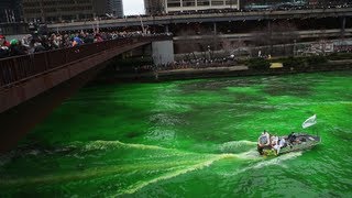 River turns green for St Patricks Day [upl. by Delores]