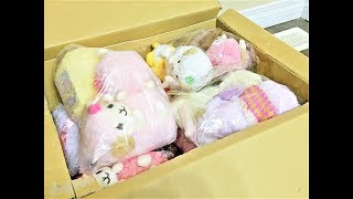 Alpacasso Unboxing  Purple Prince and Dreamy Llama Edition [upl. by Garbers]