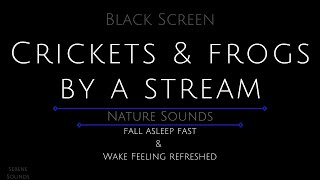 Black Screen 10 Hours  Crickets and Frogs by a Stream  Cricket Sounds  Frog Sounds  Water Sounds [upl. by Anead874]