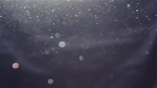 10 Minutes of 4K Organic Dust Particles On Black Background  Overlay [upl. by Anotyad]