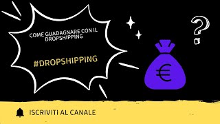 Come Guadagnare con il Dropshipping [upl. by Lewse]