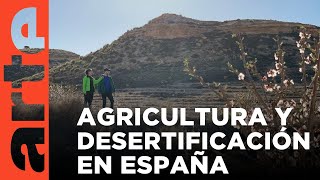 Desertificación un nuevo campo de batalla  ARTEtv Documentales [upl. by Levin]