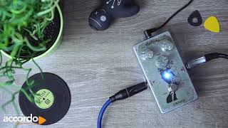 Dophix Nettuno  recensione fuzz made in Italy [upl. by Ihsar930]