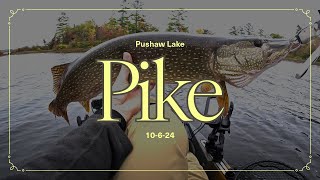 Fall Pike and Pickerel Kayak Fishing [upl. by Roslyn585]