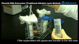 Plasmid DNA Extraction Traditional Alkaline Lysis Method [upl. by Sell]